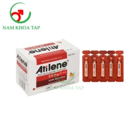 Atilene - Thuốc điều trị viêm mũi mề đay